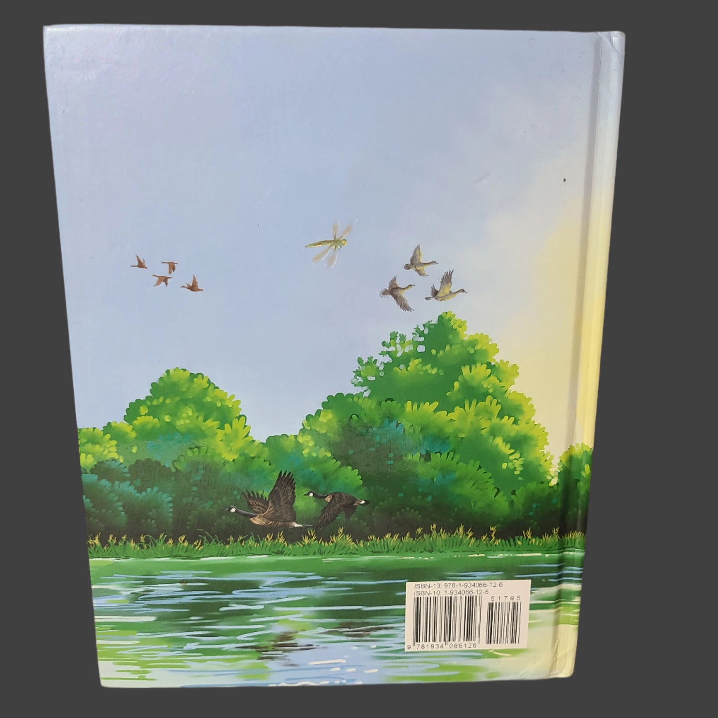 HC The Dragonfly Door by John Adams - Copyright 2007 - Revised First Edition - USED