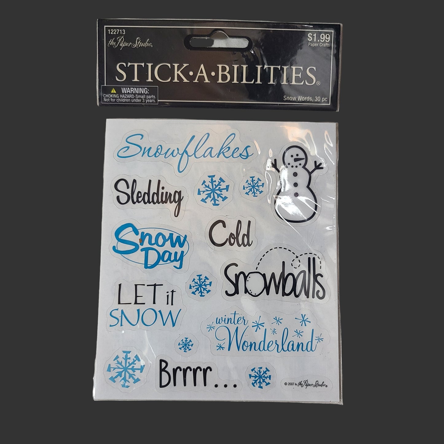 30PC The Paper Studio Christmas Snow Words Stickers - NEW