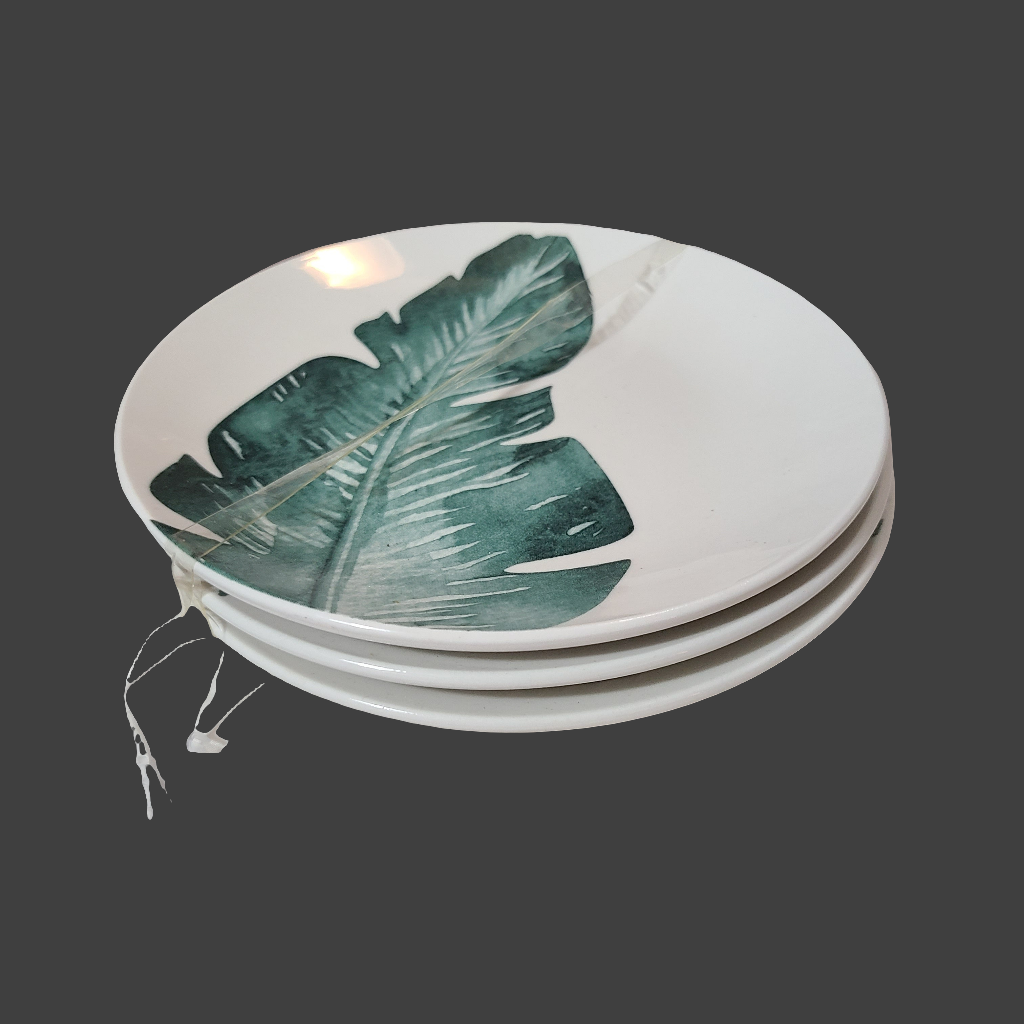 Partial 3 PC True Living Ceramic Plates - LIKE NEW