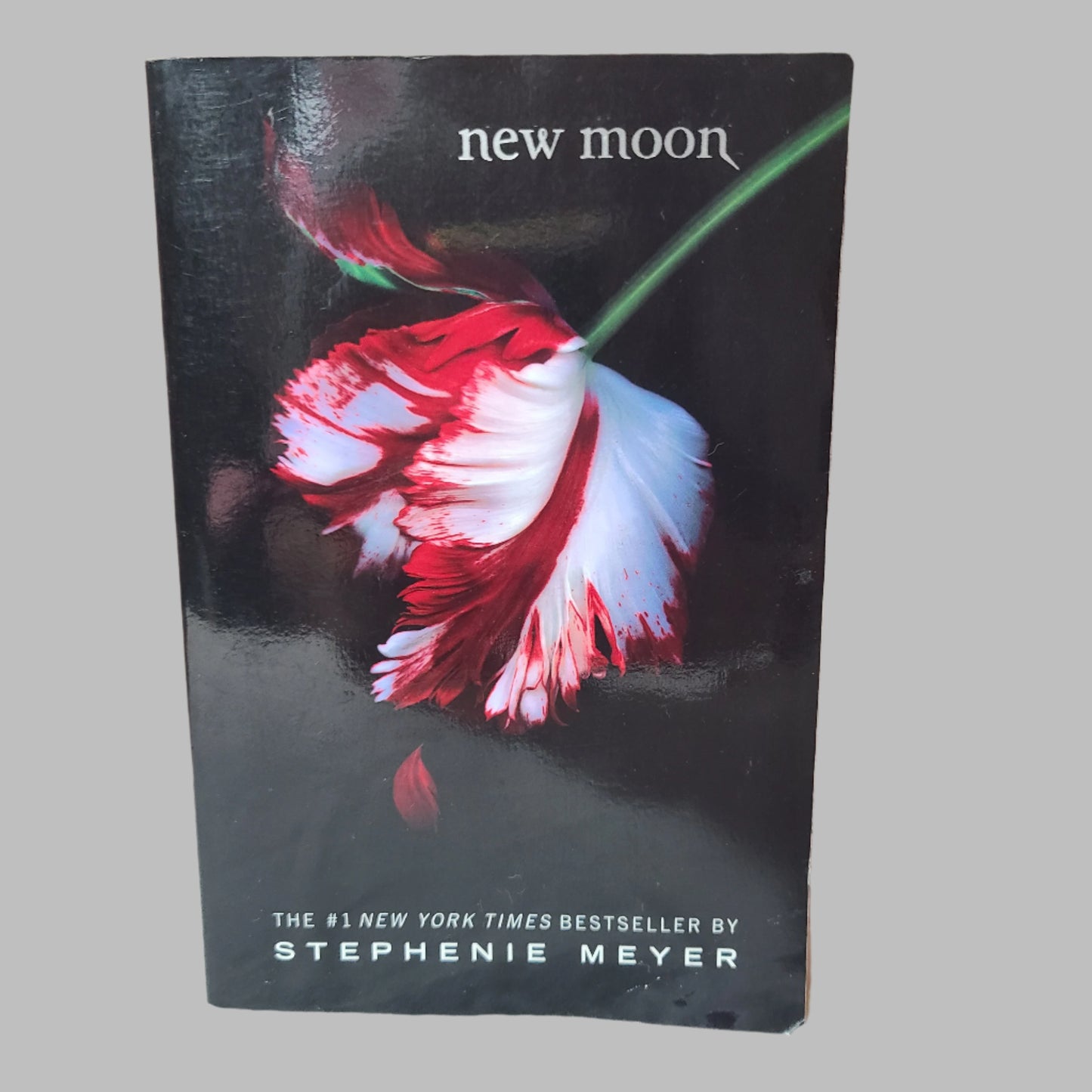 SC Twilight New Moon by Stephenie Meyer - Copyright 2006 - USED