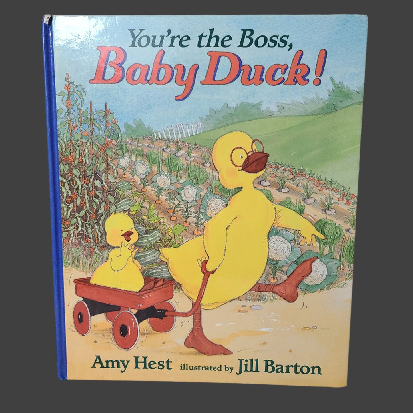HC You're the Boss, Baby Duck! By Amy Hest - Copyright 1997 - First Edition - USED