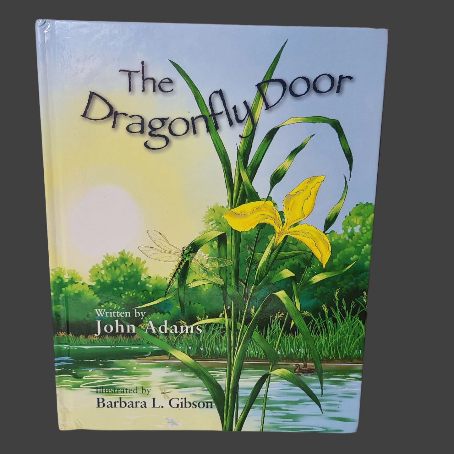 HC The Dragonfly Door by John Adams - Copyright 2007 - Revised First Edition - USED