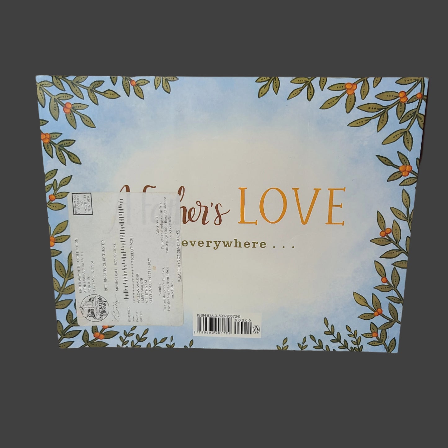 SC A Father's Love by Hannah Holt - Copyright 2019 - LIKE NEW