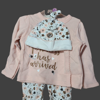 0-3M Gerber 3 Piece "The Princess Has Arrived" Set - NEW