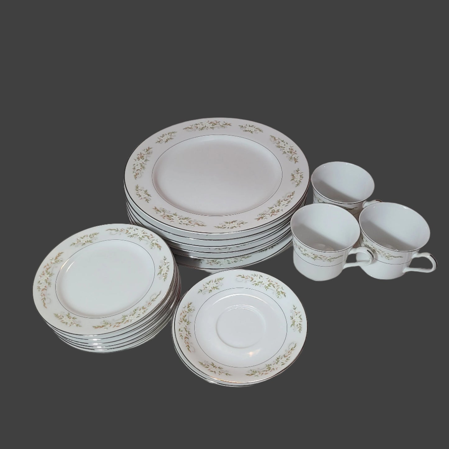 19PC 326 Springtime China Set - LIKE NEW
