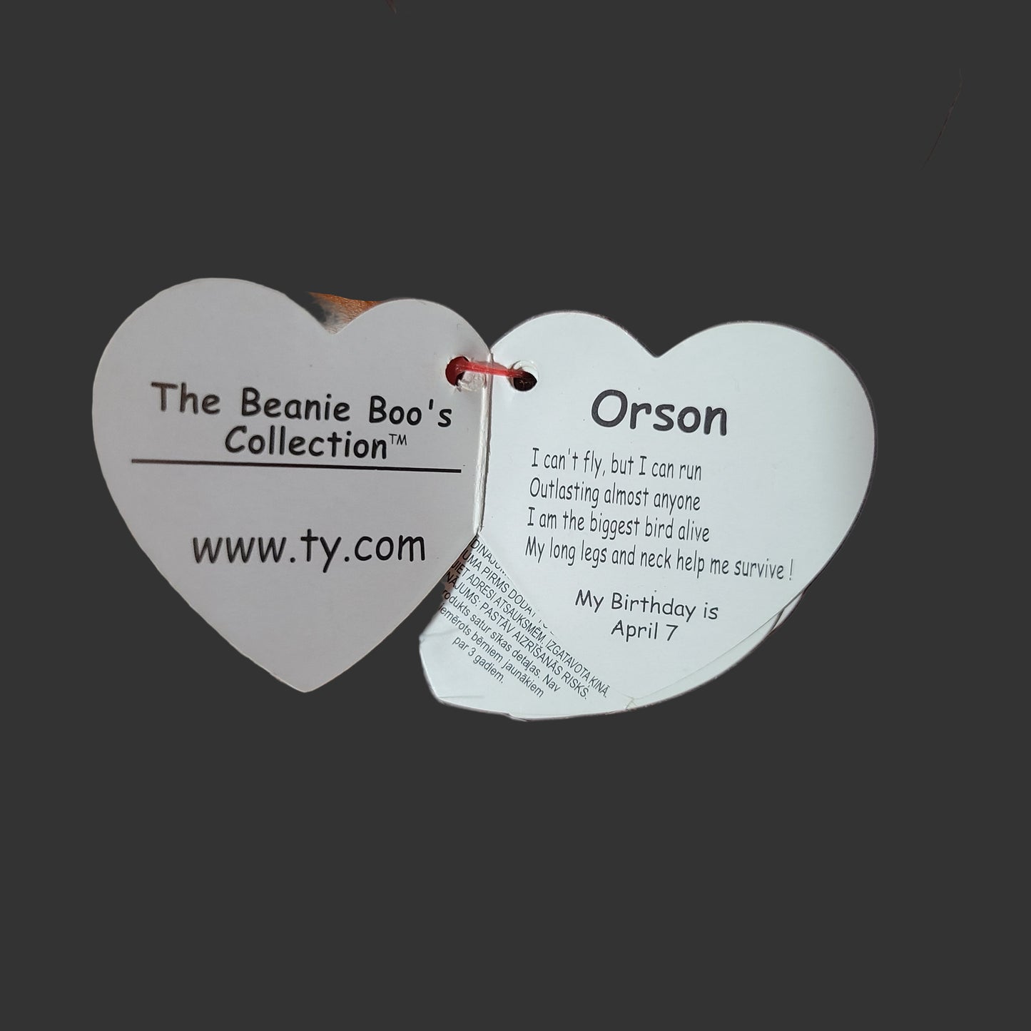 Ty Beanie Boo Orson The Ostrich - NEW