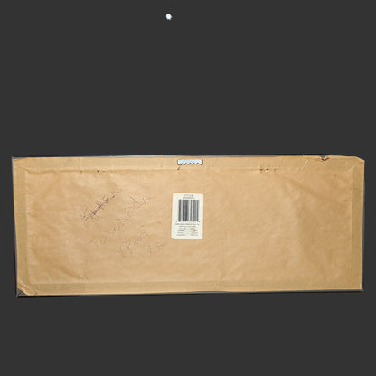 Bird Powerline Art Photo in Frame - USED