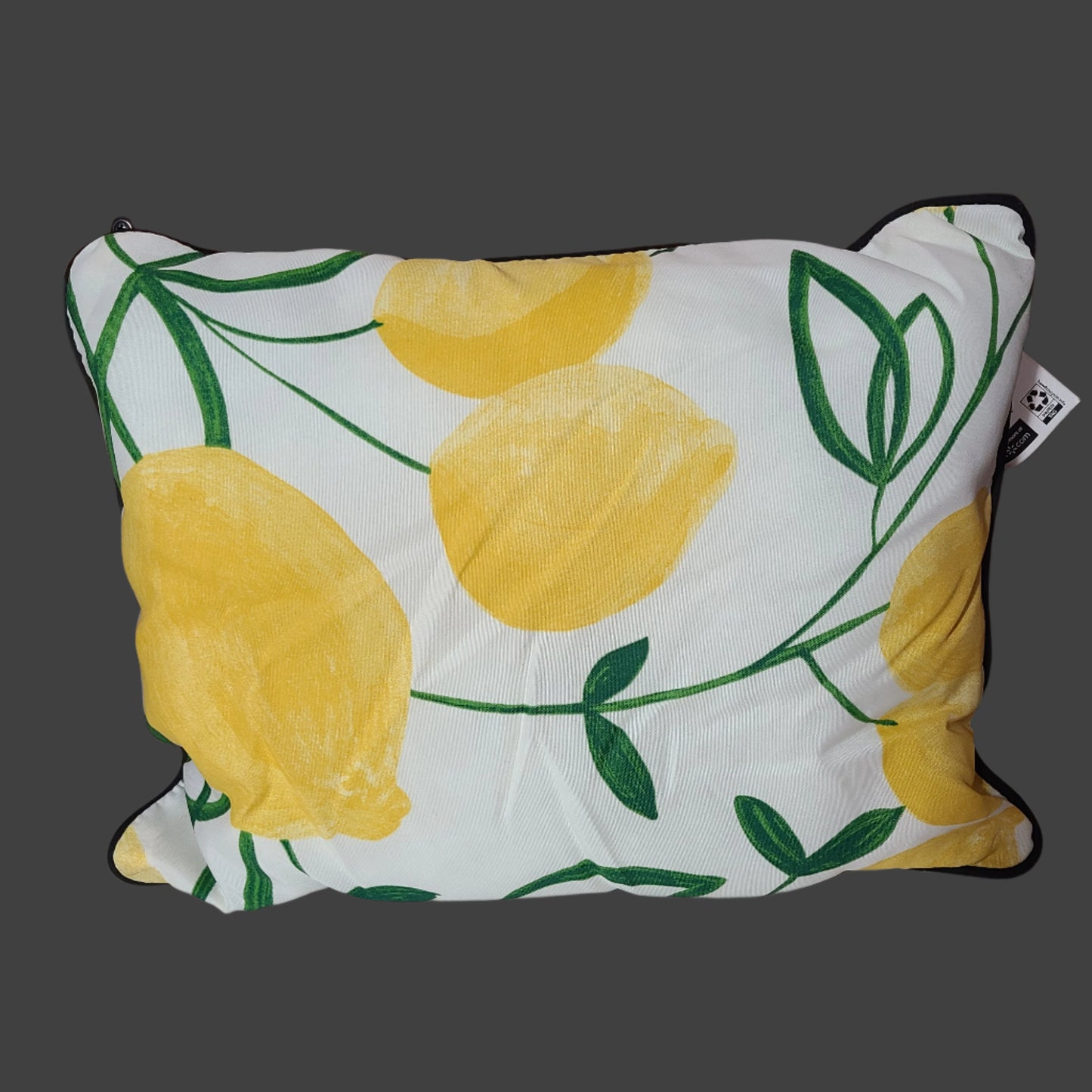 Mainstays Outdoor "Home Sweet Home" Lumbar Throw Pillow - LIKE NEW